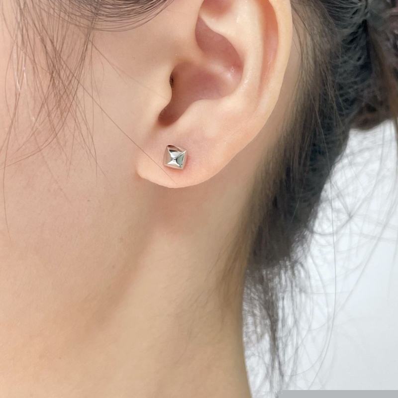 H**mes earrings